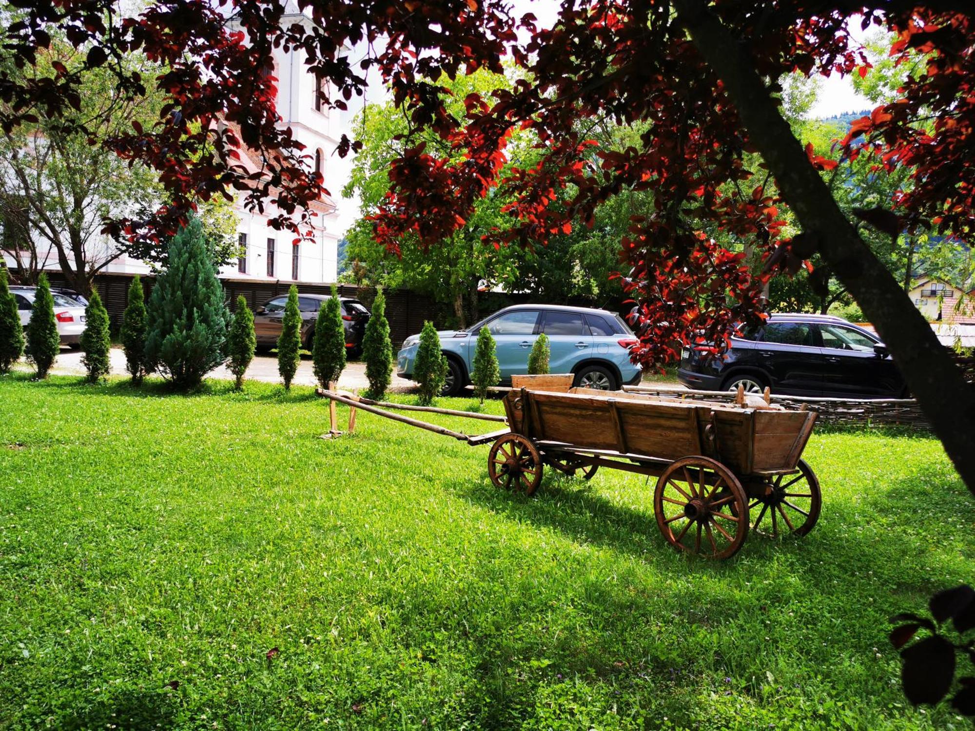 Pensiunea Muntele Rece Bran  Exterior photo